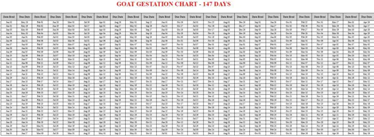 Goat Gestation Calculator & Chart {Printable} - Livestocking