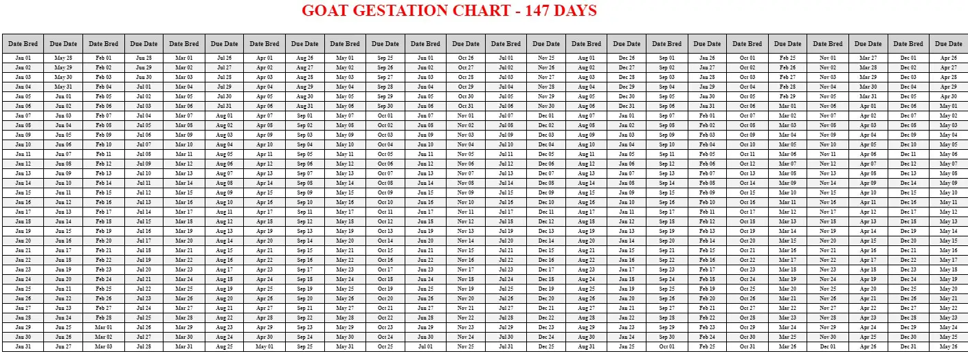 Goat Gestation Calculator Chart Printable Livestocking