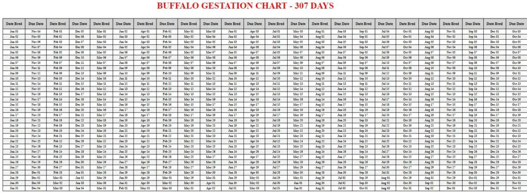 Buffalo Gestation Calculator & Chart {Printable} - Livestocking
