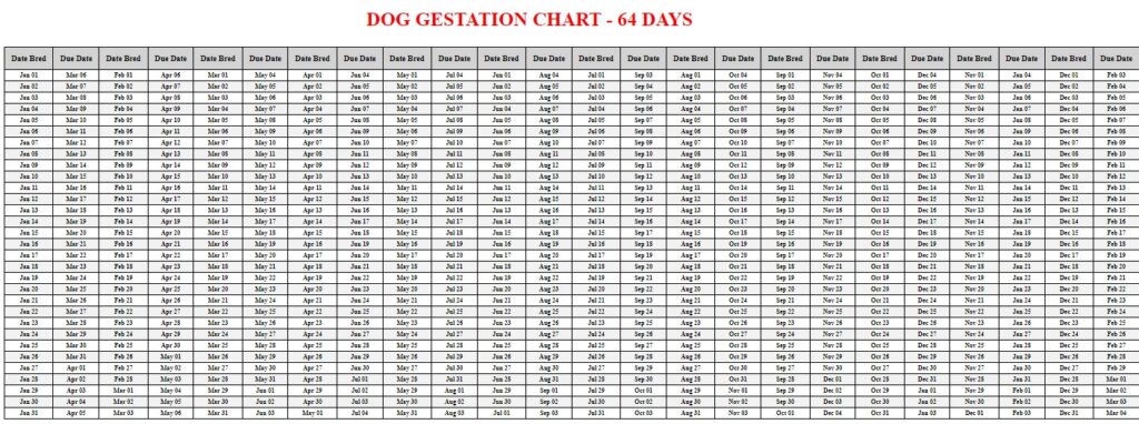 Dog Gestation Calculator & Chart - Livestocking
