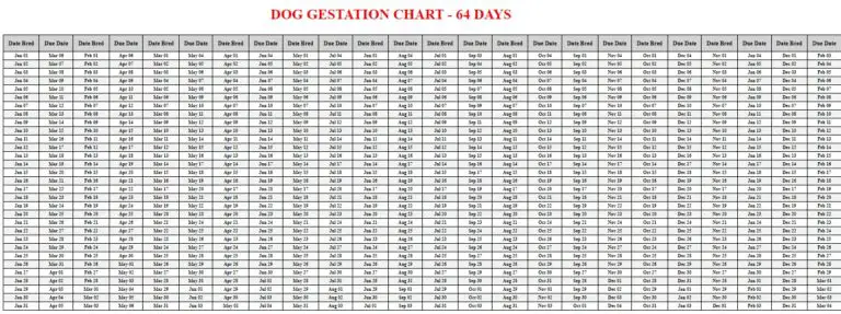 Your One-Stop Site for Animal Gestation Information & Calculator