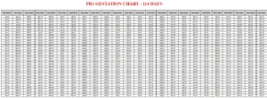 Pig Gestation Calculator & Chart {Printable} - Livestocking