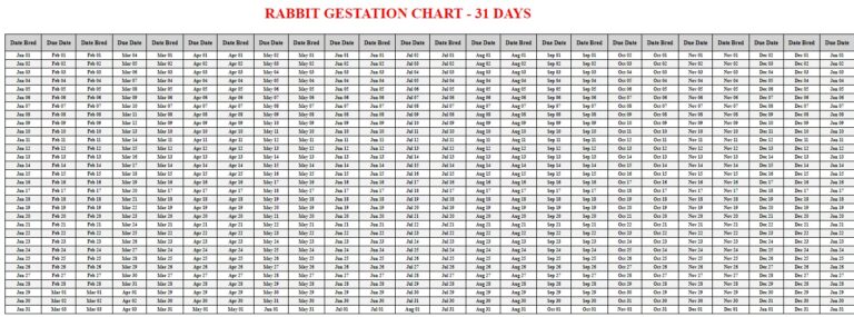 Rabbit Gestation Calculator & Chart {Printable} - Livestocking