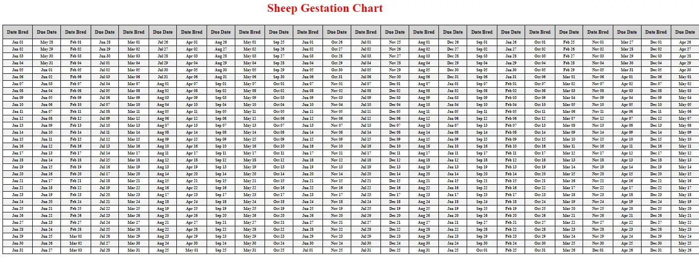 12+ Sheep Gestation Calculator - DhaniDavaidh