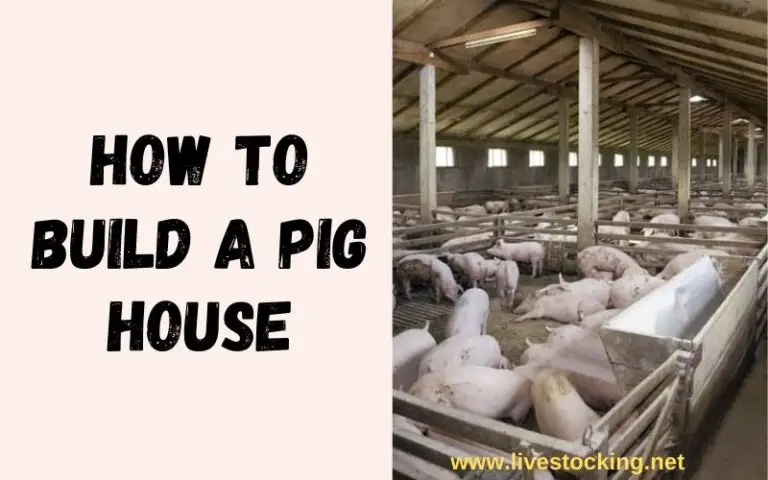 How to Build a Pig Pen or House - Livestocking