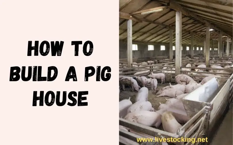 How To Build Pig Farm Flatdisk24