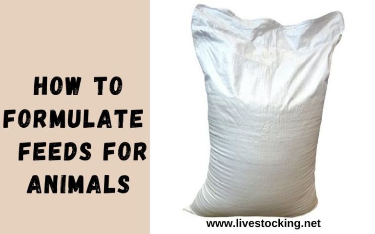 how-to-formulate-feeds-for-chickens-other-livestock-livestocking