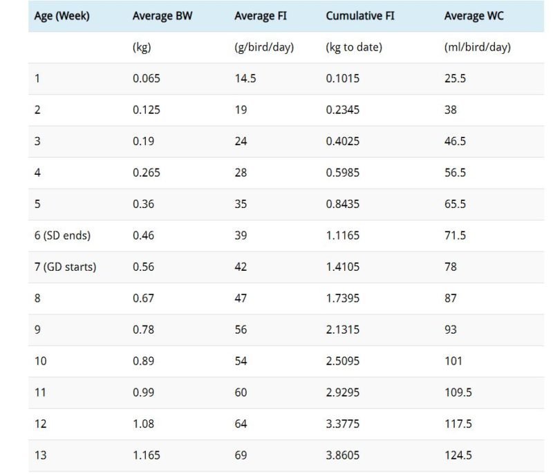  PDF Layers Feeding Guide Growth Weight Chart Livestocking