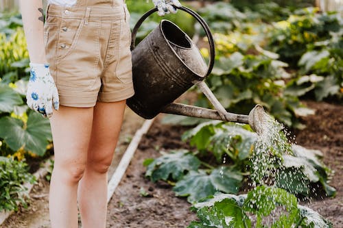 Farm-to-Table Learning